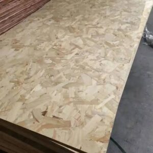 Plywood skiva